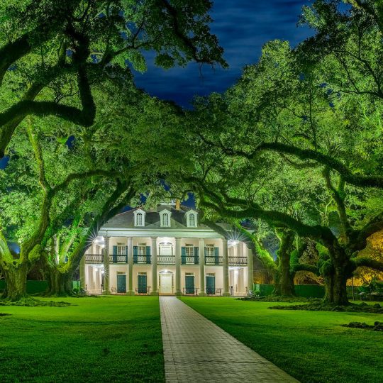 Ancient Cypress Swamps Tour 2021