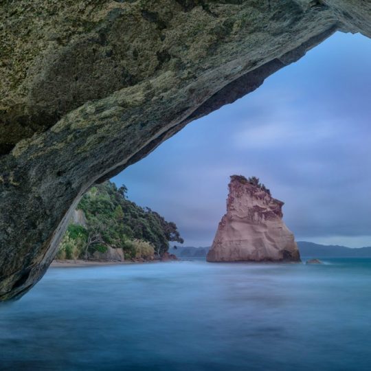 New Zealand 2024
