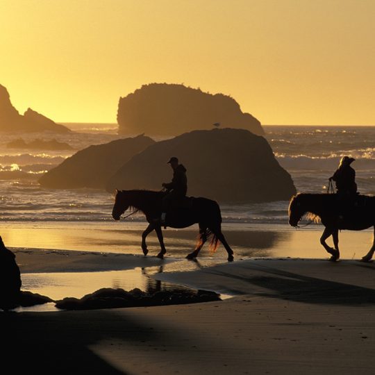 137-155 West Coast Sunset
