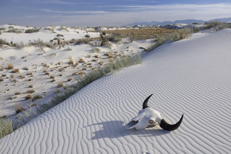 153-1568 White Sands