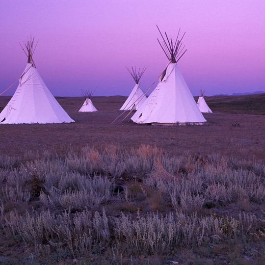 153-9 Blackfeet Tipi Camp