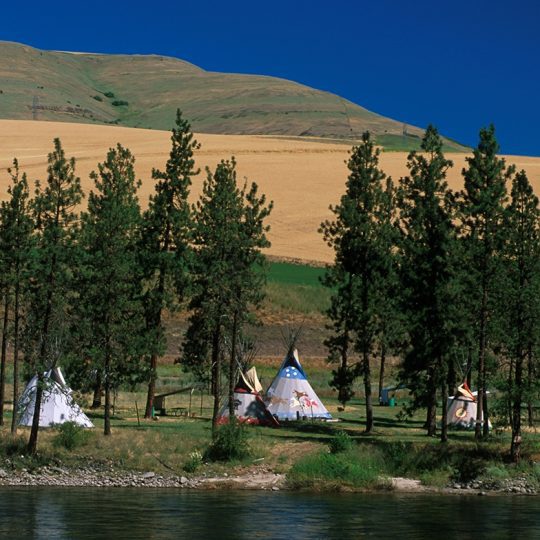 154-41 River Encampment