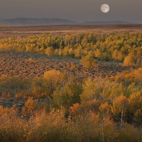 137-318 Full Moon over the Steens