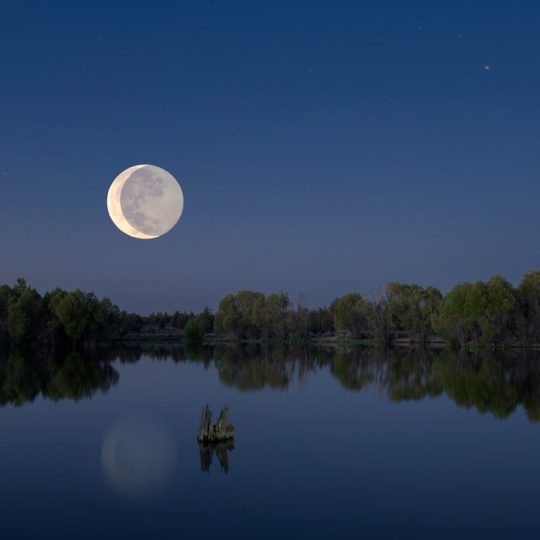 Total Lunar Eclipse Photo Outing 2022