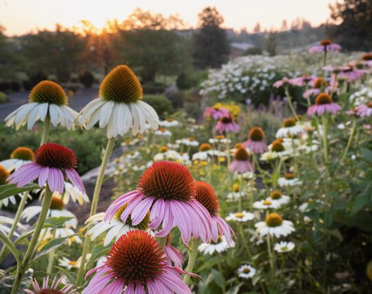 Flower Workshop at the old Mill 2025